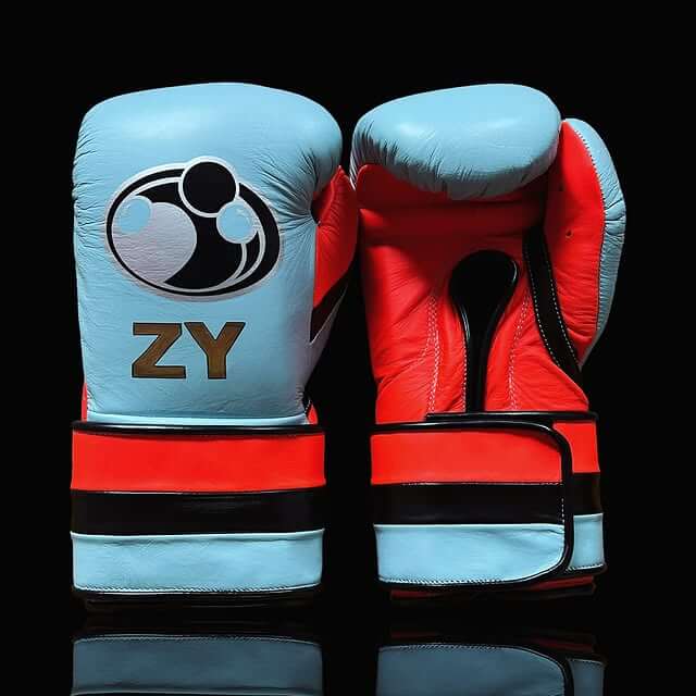 Grant Boxing Gloves Blue/Red/Black