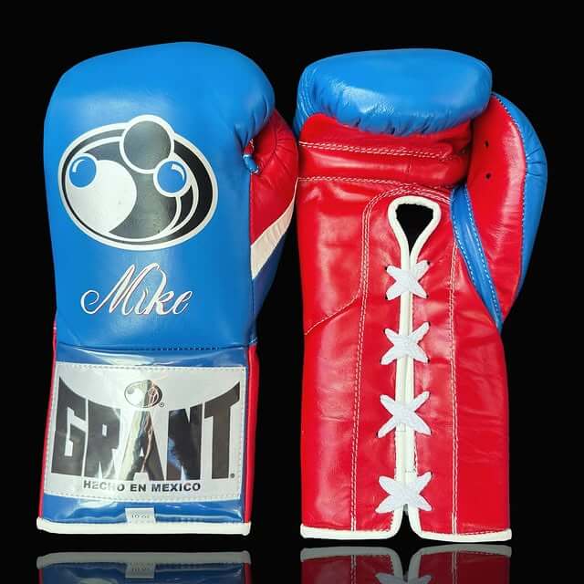 Grant Boxing Gloves Blue/Red