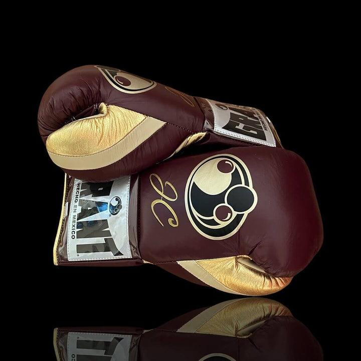 Grant Boxing Gloves Brown/Beige/Gold
