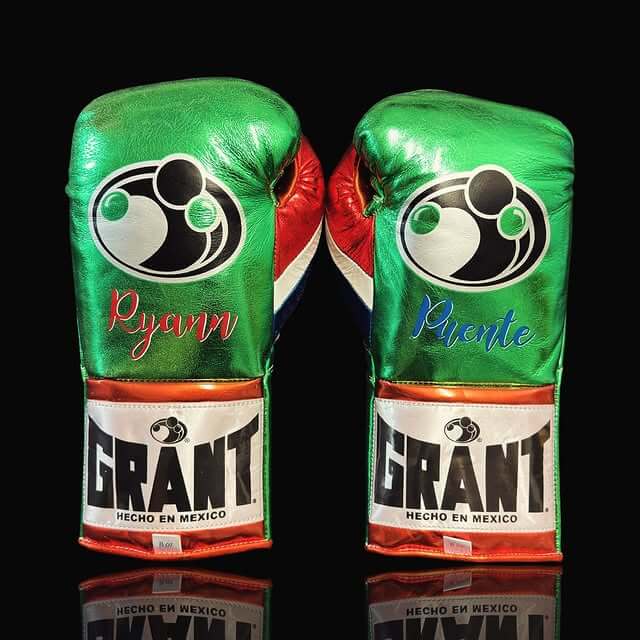 Grant Boxing Gloves Green/Blue/Red