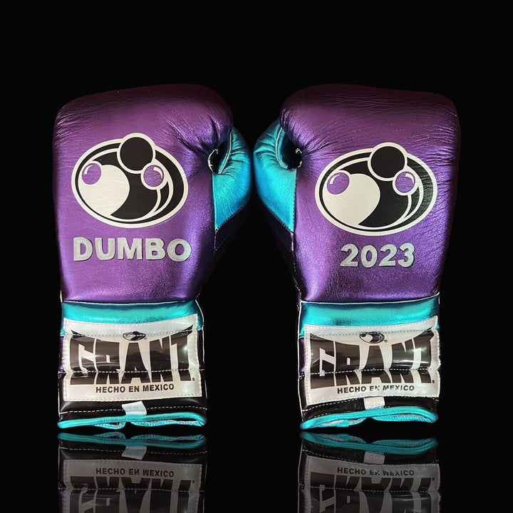 Grant Boxing Gloves Purple/Black/Blue