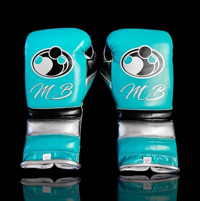 Grant Boxing Gloves Blue/Black/Silver
