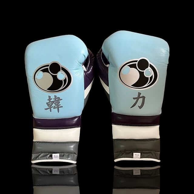 Grant Boxing Gloves Teal/Purple/White